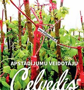 Apstādījumu veidotāju ceļvedis Latvijas stādaudzētavu sortimentā